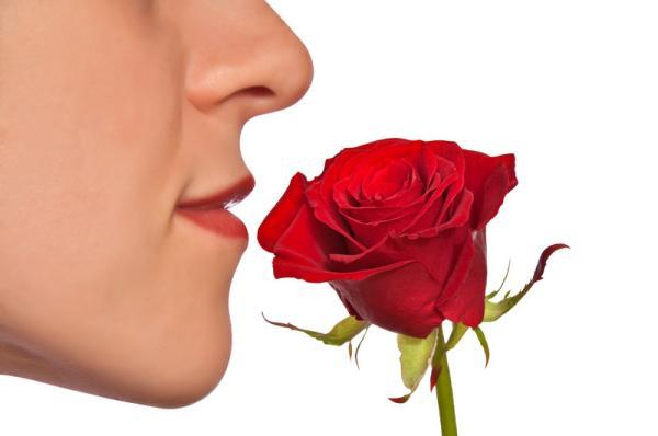 اختلالات بویایی: زمانی که حس بویایی شما گمراه گردد